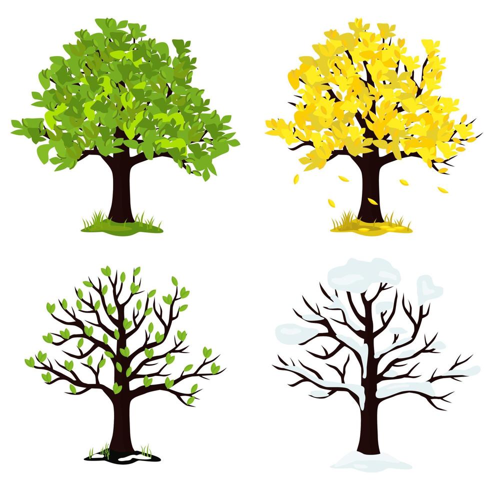 illustration av ett träd under de fyra årstiderna. vektor