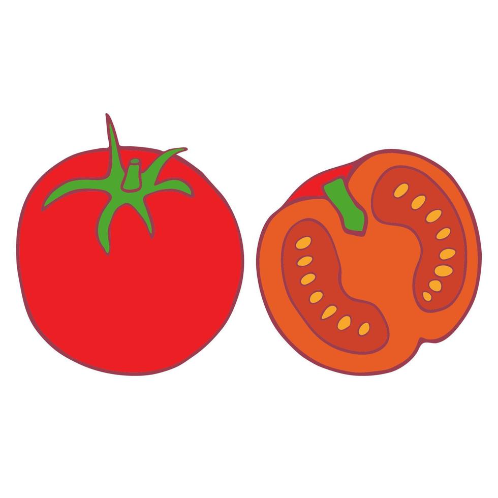 handgezeichneter Doodle-Vektor isolierte Tomate, tolles Design für jeden Zweck. vektor
