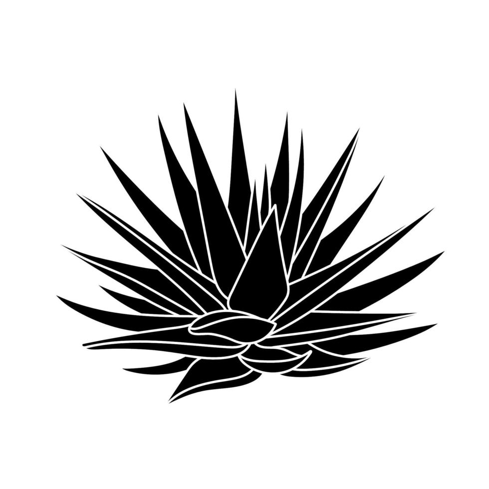 suckulent agave i enkel stil, vektorillustration. ökenblomma för tryck och design. siluett mexikansk växt, grafiskt isolerade element på en vit bakgrund. krukväxt för inredningsinredning vektor