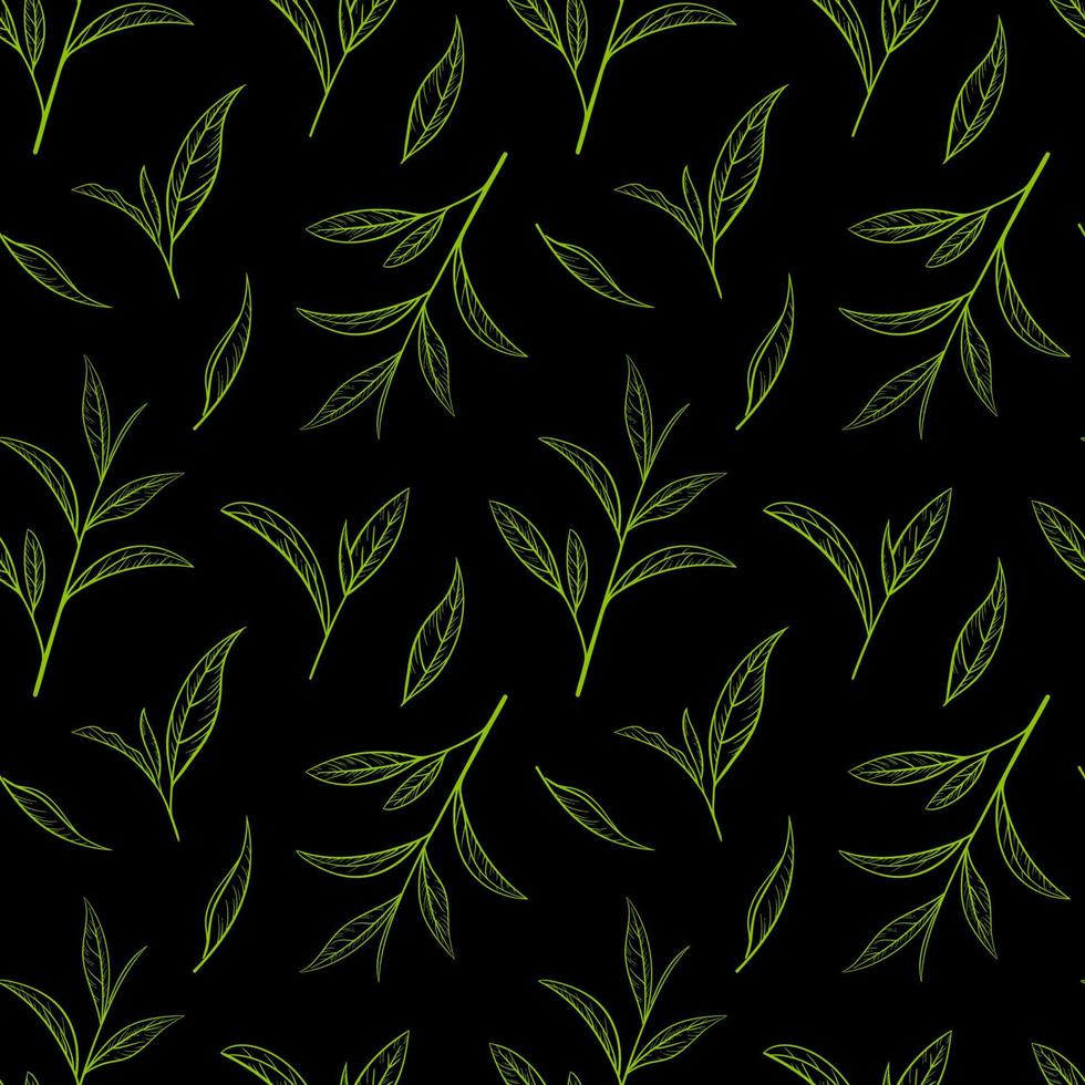 löv grönt te mönster sömlös, vektorillustration. lämnar teträd på svart bakgrund. handritad skiss i vintagestil för tryck och design. ekologisk natur ört kontur, eko hälsosam mat vektor