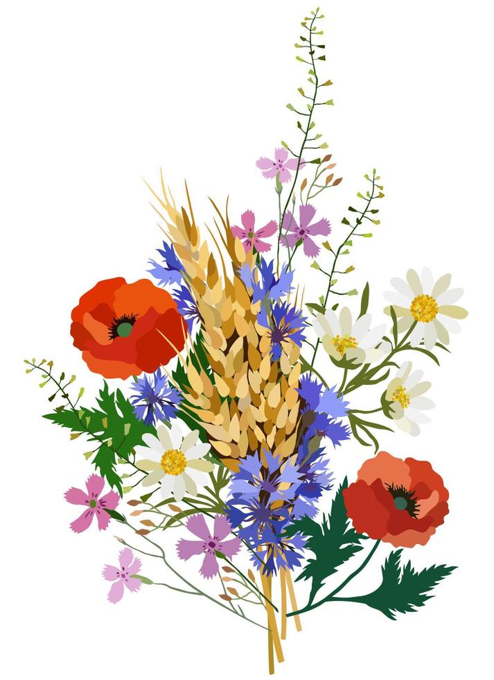 vektorisolierte illustration von wilden blumen und weizenährchen. vektor