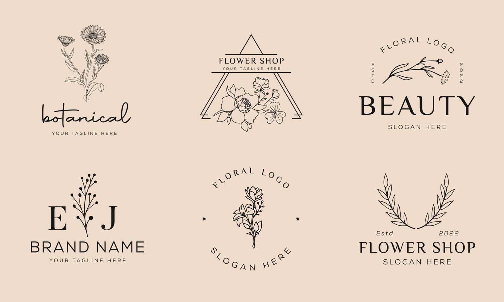 satz botanisches florales element handgezeichnetes logo mit wilden blumen und blättern. logo für spa- und schönheitssalon, boutique, bioladen, hochzeit, blumendesigner, innenausstattung, fotografie, kosmetik vektor