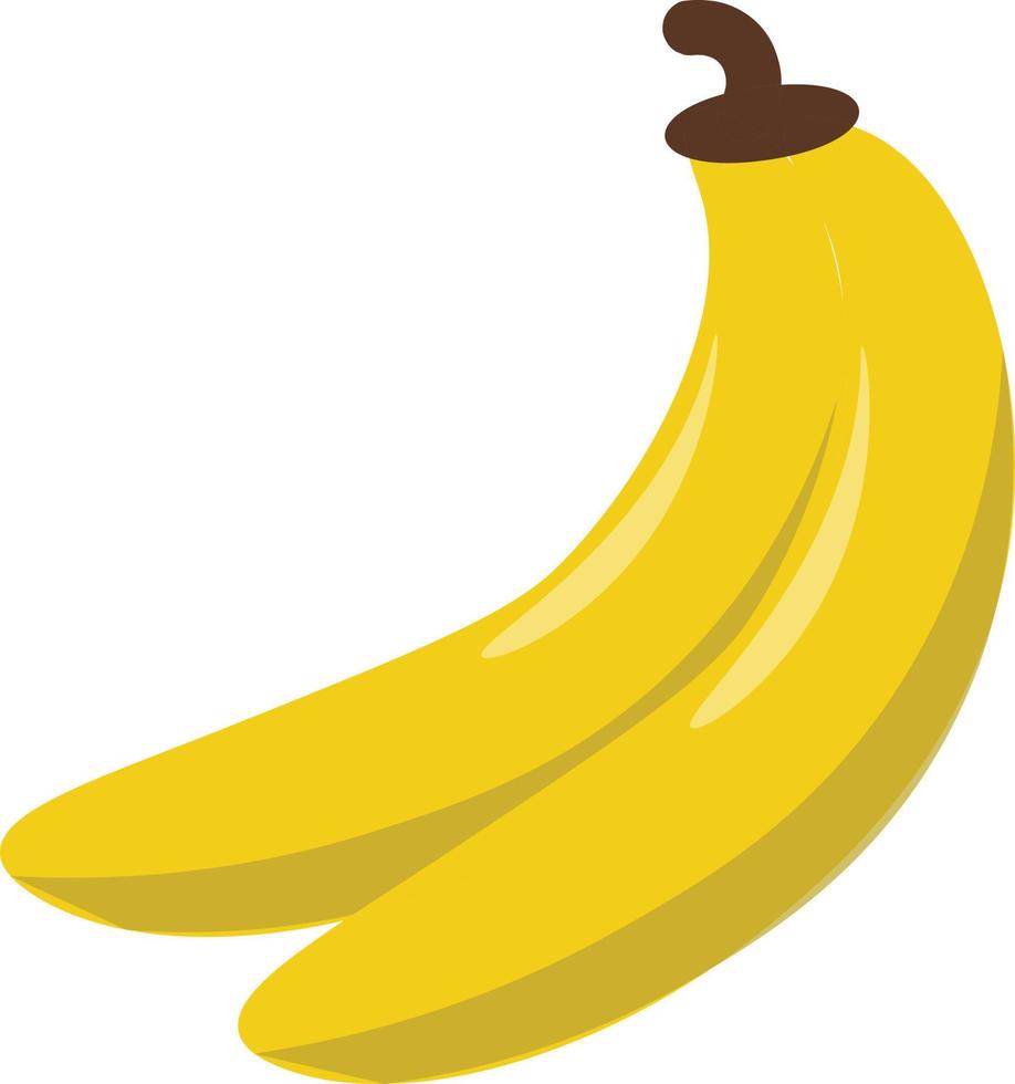 Bananenfrucht entwerfen vektor