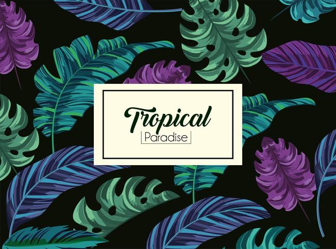 tropische Blätter Pflanzen und exotische Label vektor