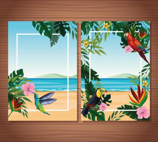 Leere Sommerkarte mit exotischen Vögeln und tropischen Blättern mit Blumen vektor