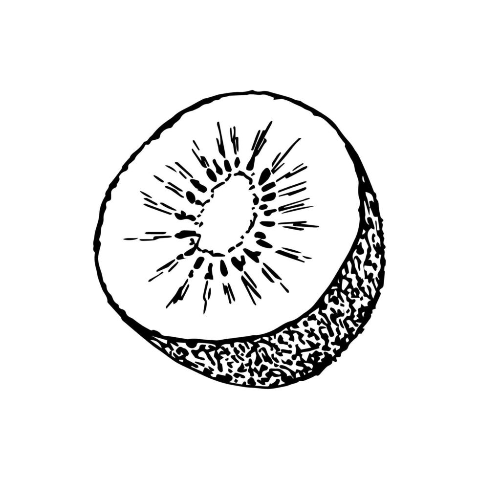 hand gezeichnete einfache schwarze umrissvektorillustration. halbe Kiwi, runder Schnitt. Zutaten, Kochen, Obst. vektor