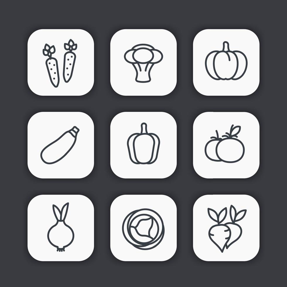 grönsaker linje ikoner set vektor