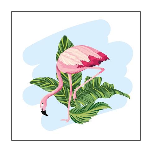tropisk flamingo med exotiska bladväxter vektor