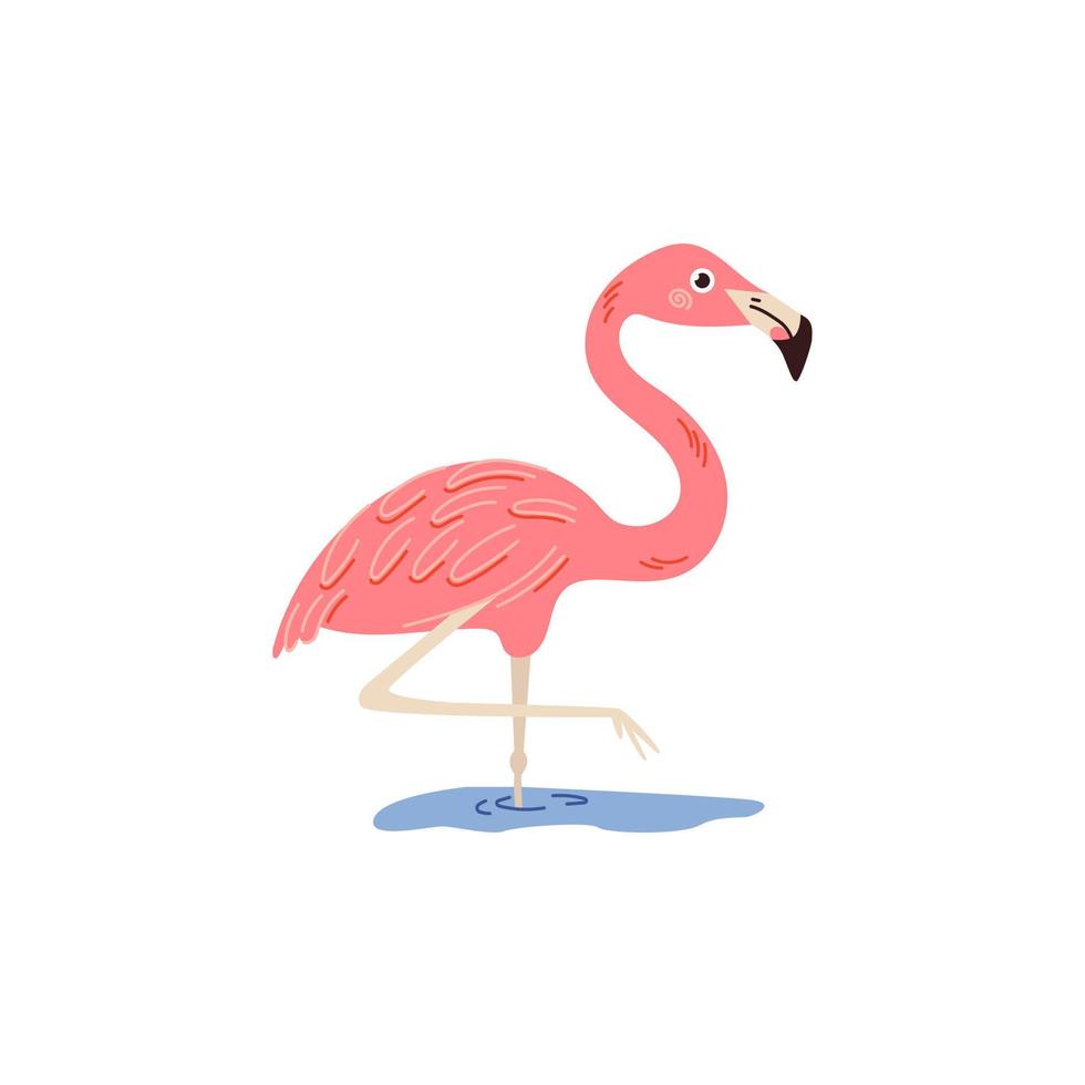 rosa flamingo auf weißem hintergrund. Vektor-Illustration. vektor