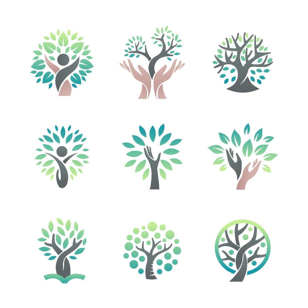 uppsättning abstrakt träd logotyp vektor