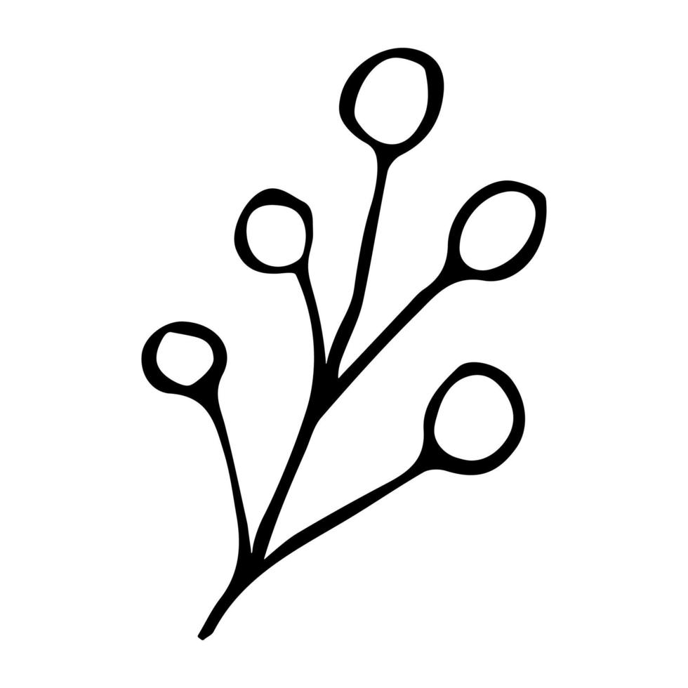 handritad vektor gren clipart. ört illustration isolerad på vit bakgrund. botanisk doodle för tryck, webb, design, dekor, logotyp.