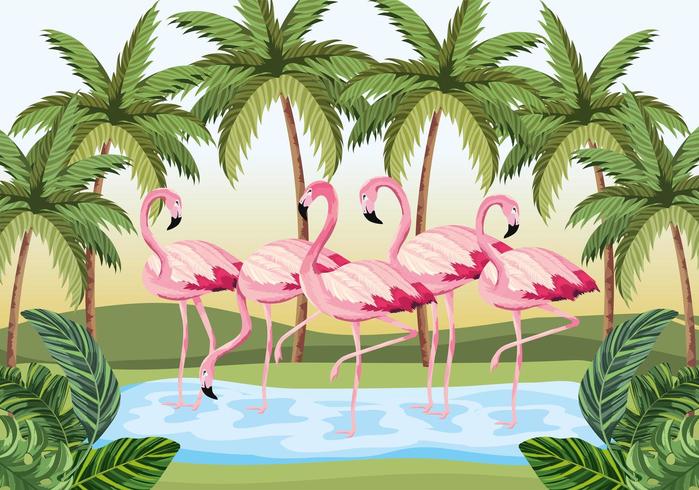 tropiska flamingo djur med palmer och blad vektor