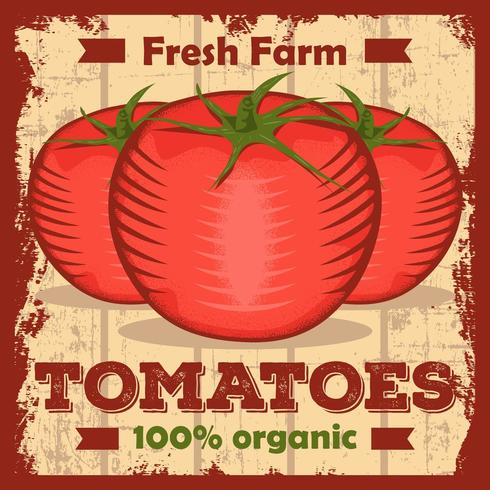 Tomaten-Tomaten-Ketschup-Vintages Signage-Plakat rustikal vektor