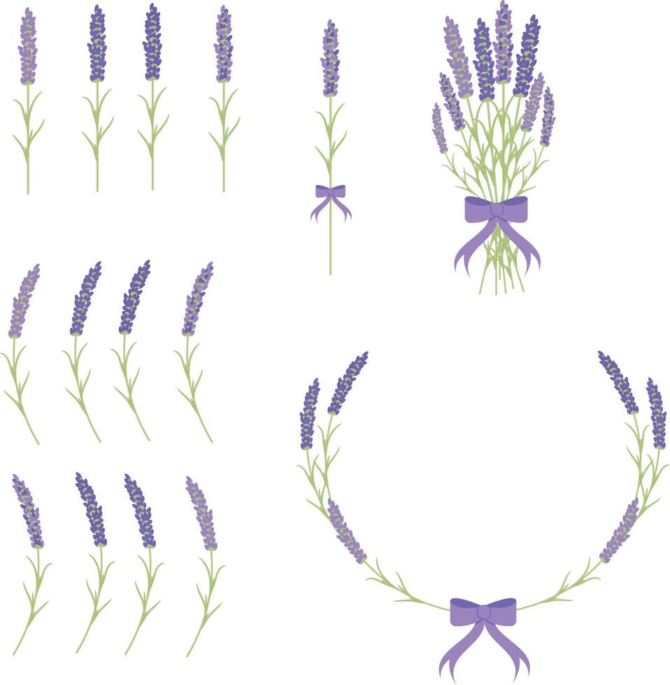 uppsättning element för design lavendel grenar lavendel bukett lavendel ram vektor
