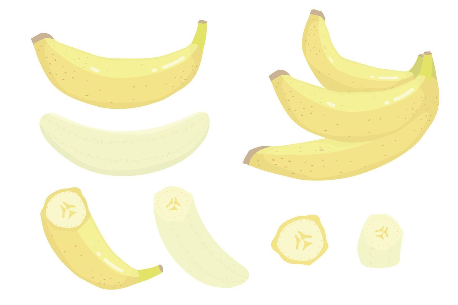 uppsättning klasar av färsk banan. söt tecknad skalad banan och en massa bananer. samling platta bananer. skal banan, gul frukt vektor illustration set