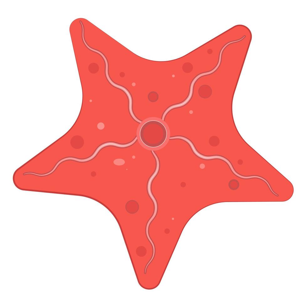 en stor röd sjöstjärna. vektor illustration
