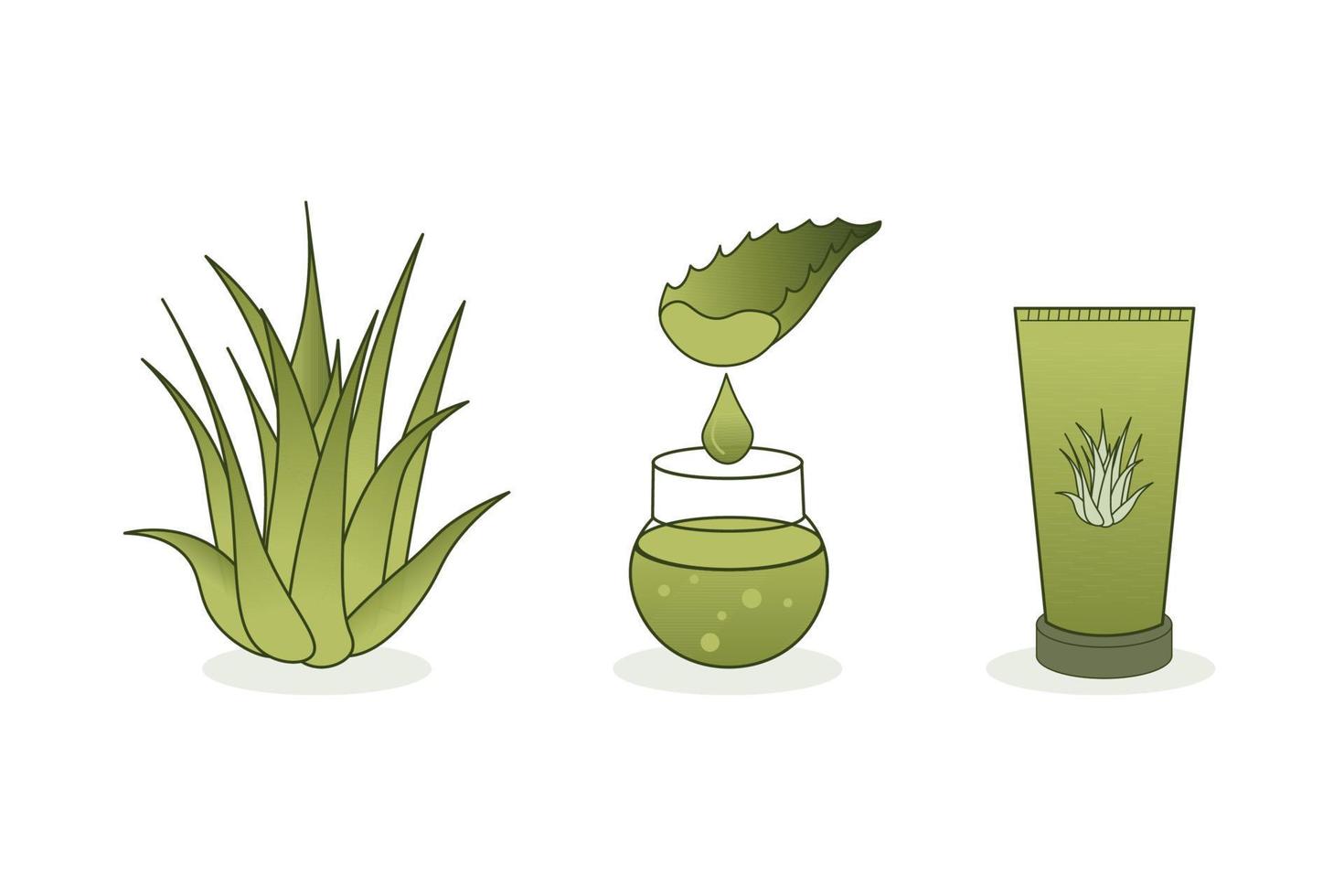 Aloe Vera-Symbole. Alec-Vera-Blatt, Saft im Glas, Sahne und Pflanze vektor