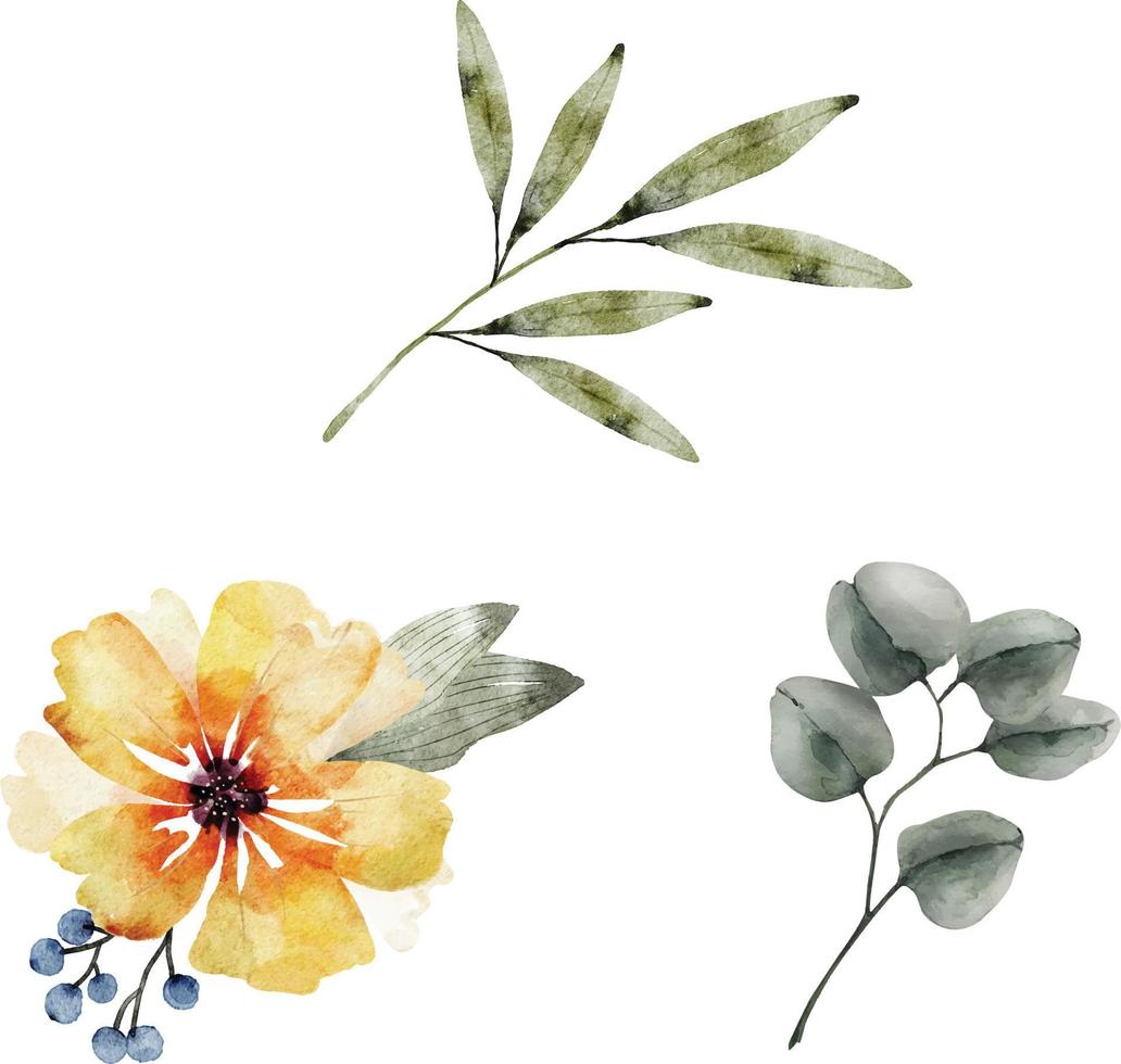 botanischer satz von blumen und pflanzen aquarellillustrationen. vektor