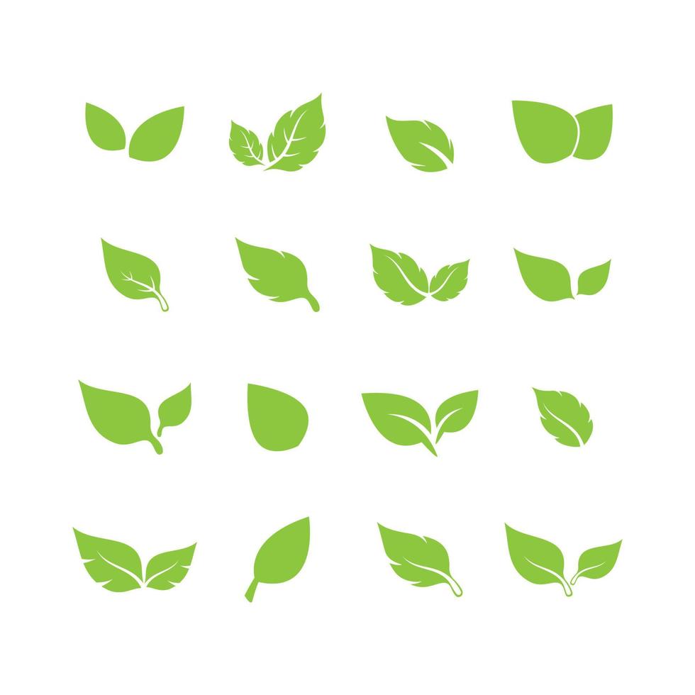 einzigartiges grünes blatt symbol logo vektor komplette sammlung bündel