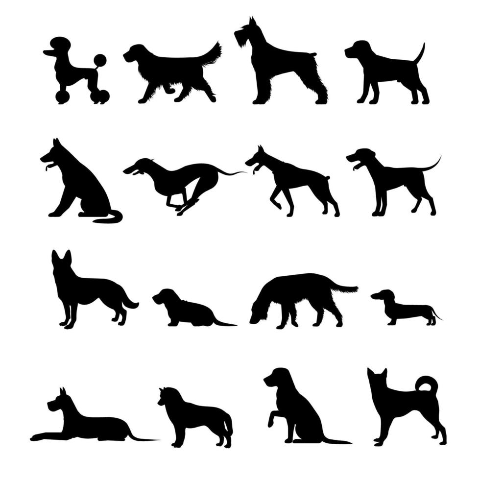 Reihe von Silhouetten verschiedener Hunderassen vektor