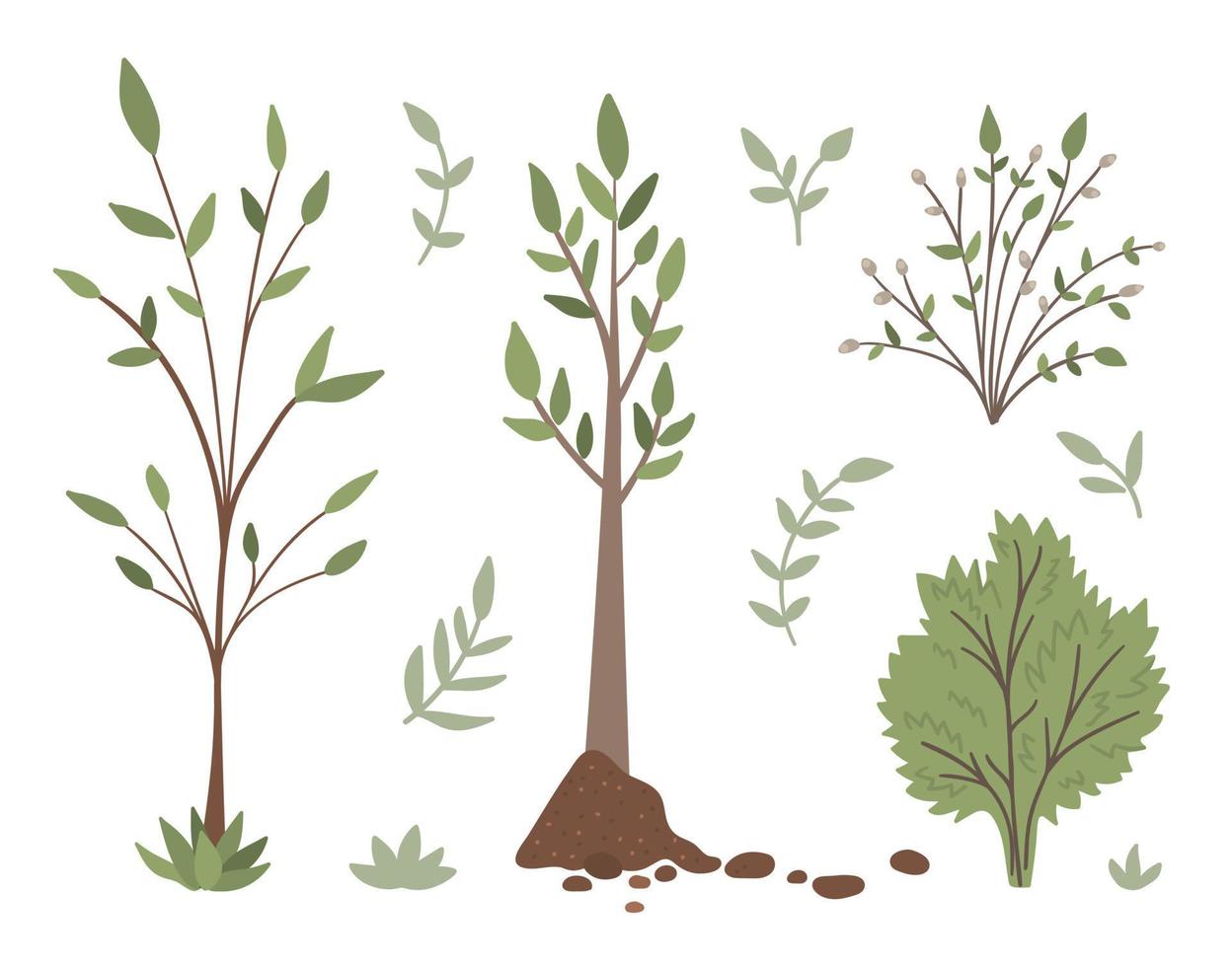 vektor uppsättning träd, växter, buskar, buskar, kvistar isolerad på vit bakgrund. platt våren trädgård illustration. trädgårdsarbete eller skog ikoner samling