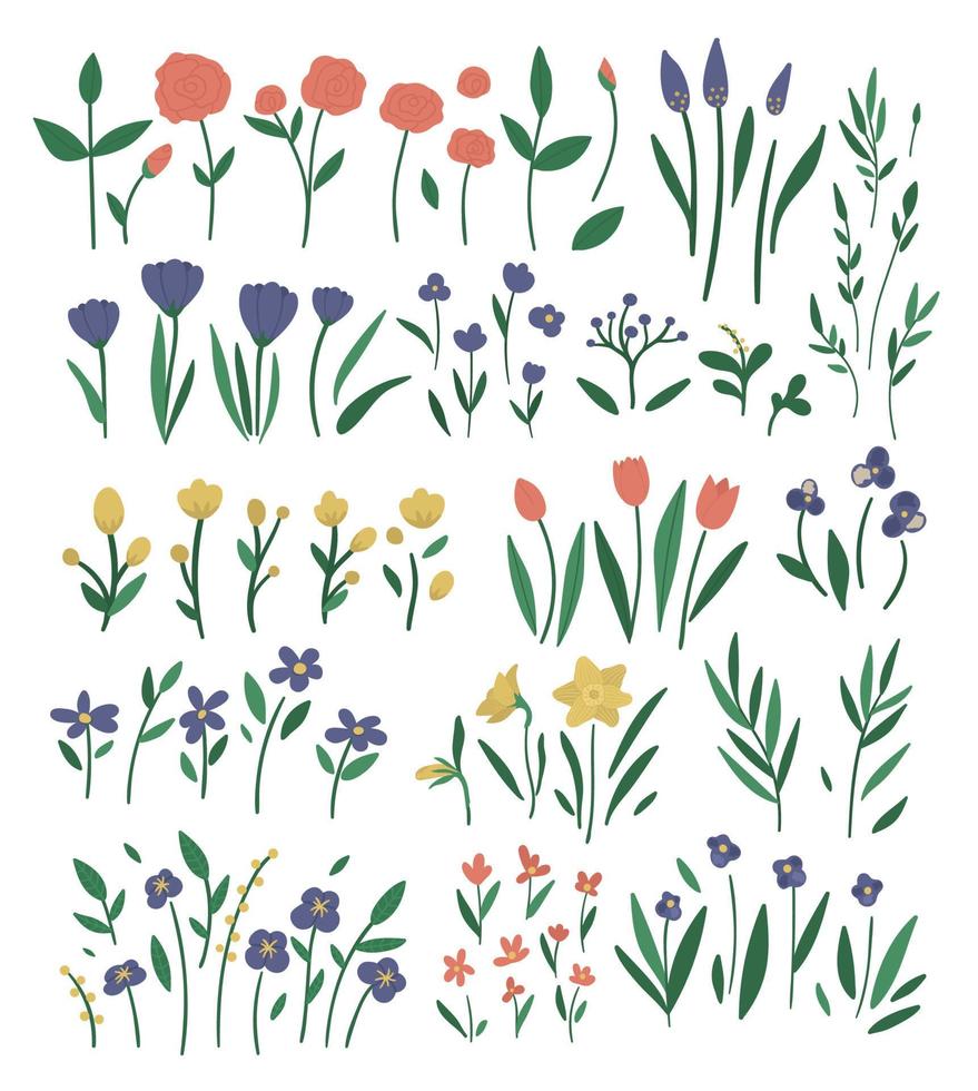 großer Vektorsatz verschiedener Blumenelemente. garten dekorative pflanzen illustration. Sammlung von separaten schönen Frühlings- und Sommerkräutern und -blumen. vektor