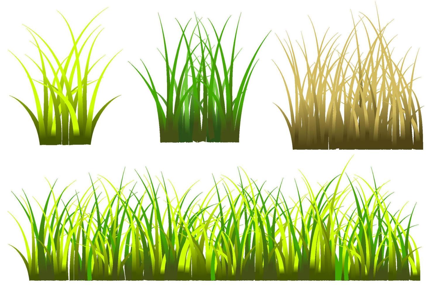 gräs vektor gratis, realistiskt gräs isolerat