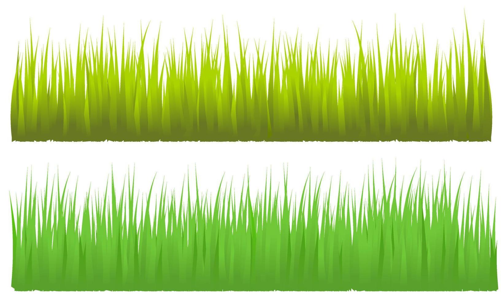 grönt gräs bakgrund isolerad vit bakgrund, äng vektor gratis