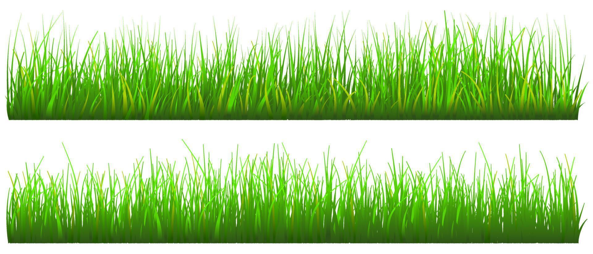 grönt gräs bakgrund, realistiskt gräs set isolerade, gratis vektor