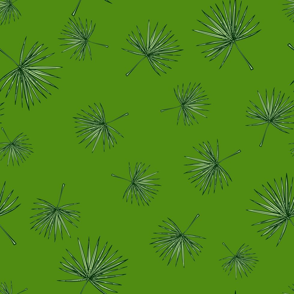 fläkt palmblad seamless pattern.vintage tropisk gren i gravyr stil. vektor