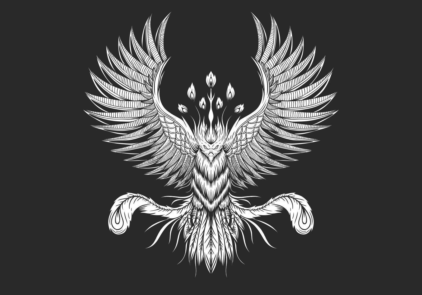 Phoenix Bird Design vektor
