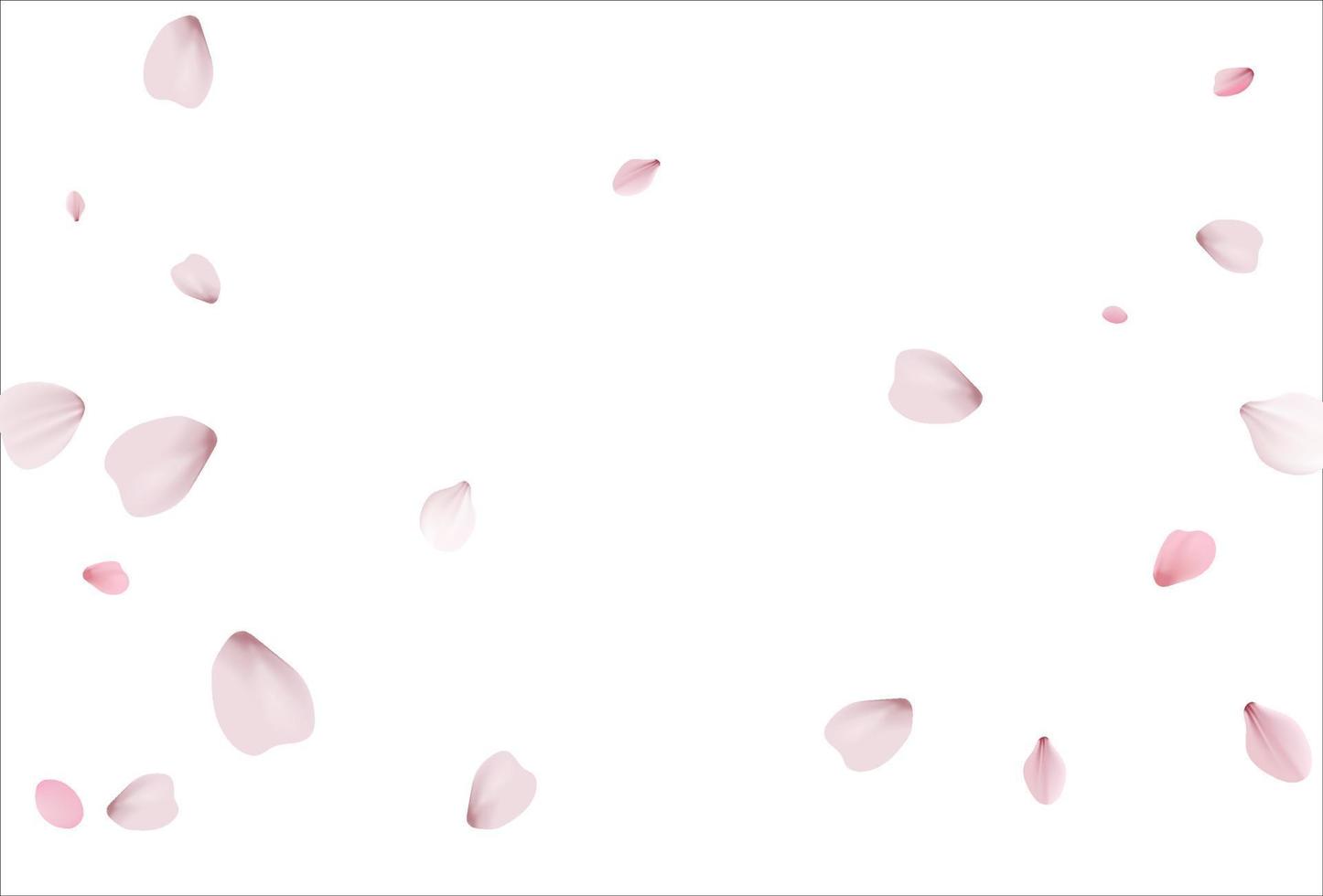 rosafarbener Sakura-Vektorhintergrund, Kirschblüten vektor