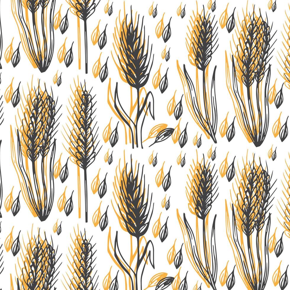 öron av vete eller råg seamless mönster, illustration på vit bakgrund, isolerade vektor