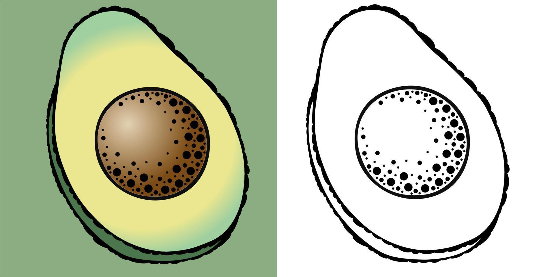 en uppsättning cliparts, monokrom illustration och färg, hälften avokado vektor