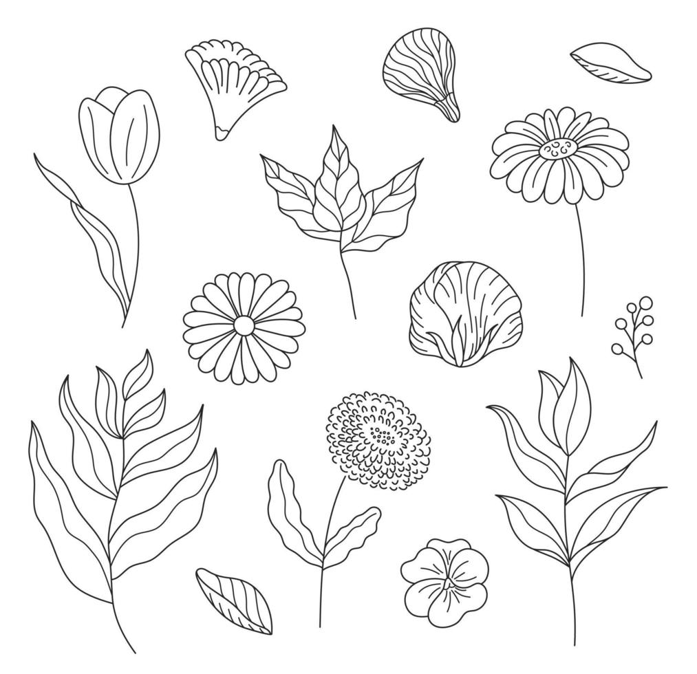 handgezeichnetes set skizziert blumen und zweige in einem eleganten stil. vektorillustration, lokalisierte schwarze elemente auf einem weißen hintergrund. vektor