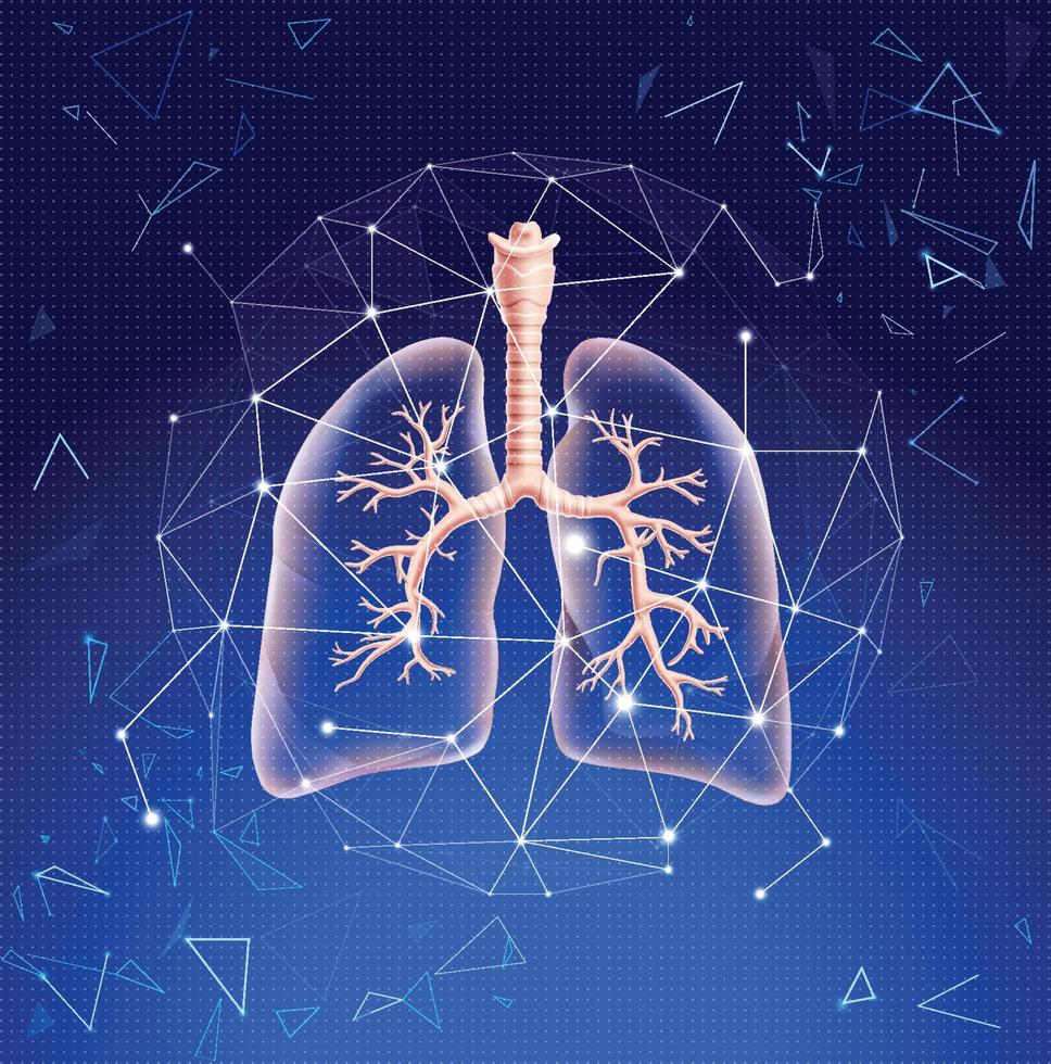 Abbildung einer teilweise durchscheinenden Lunge zur Visualisierung von Lungenästen, die in technologischer Form mit Linien und dreieckigen Formen dargestellt werden. vektor