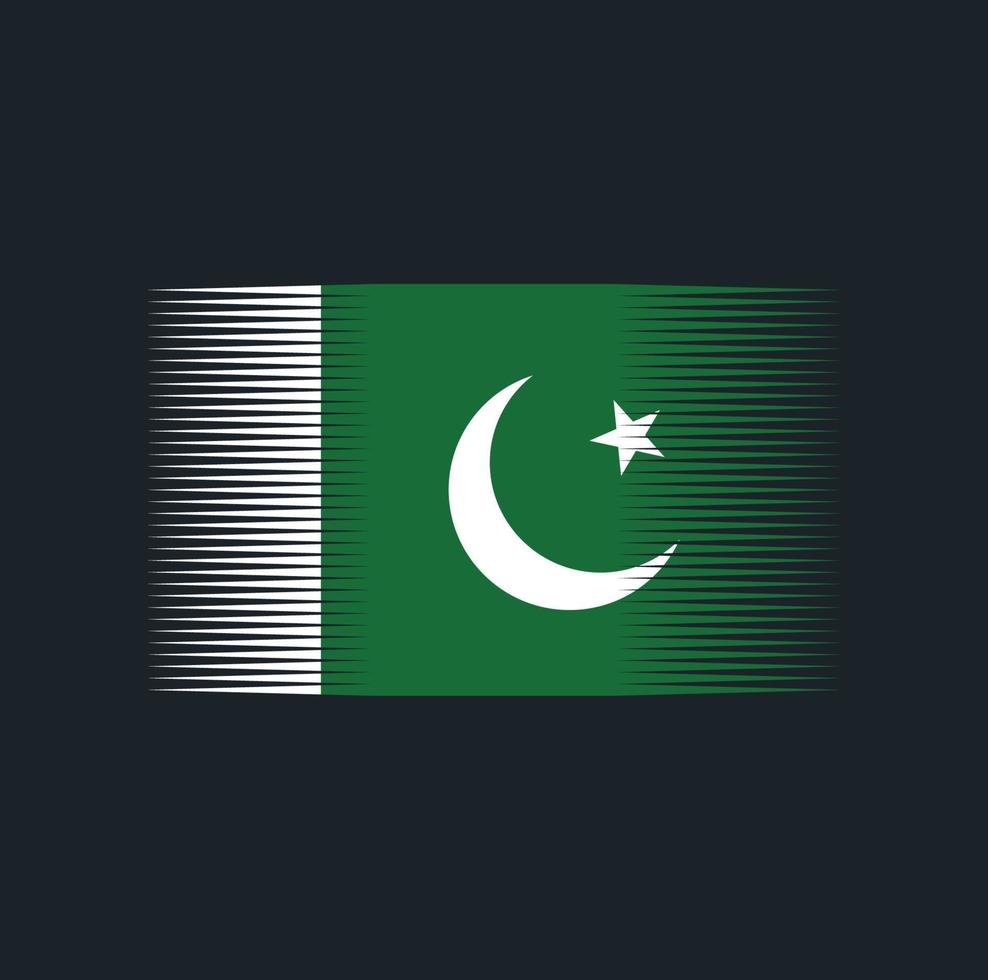 pakistansk flaggborste. National flagga vektor