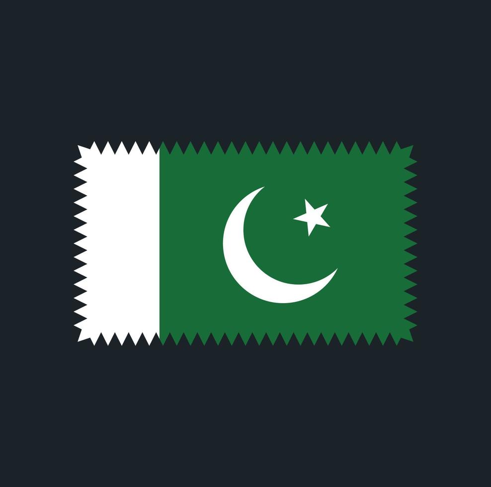 Pakistan flagga vektor design. National flagga