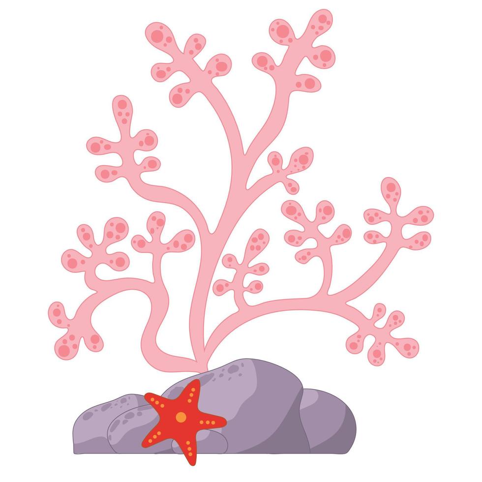 vektor illustration av rosa koraller alger och sjöstjärnor på en vit bakgrund.