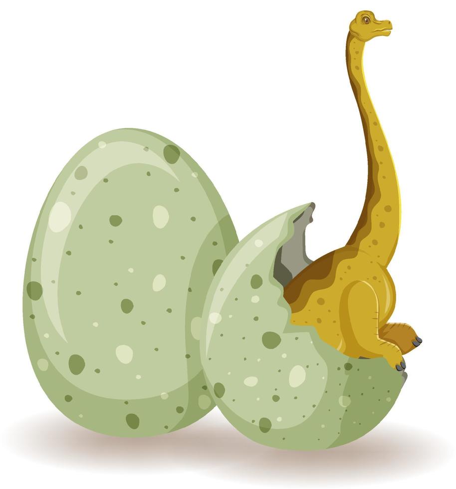 Brachiosaurus schlüpft aus dem Ei vektor