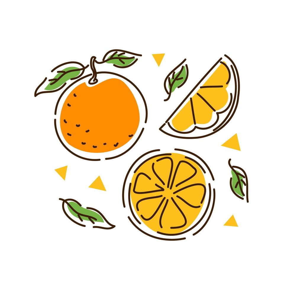saftigt orange set. citrusfrukt, apelsinskivor, mandarin i konturstilen. vektor illustration.