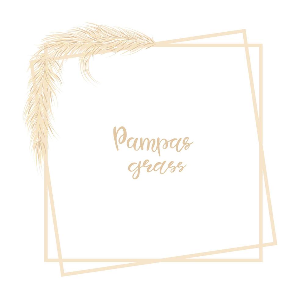 Pampasgras. dekorativer hintergrund mit trockenem gras im boho-stil. Vektor-Illustration. vektor