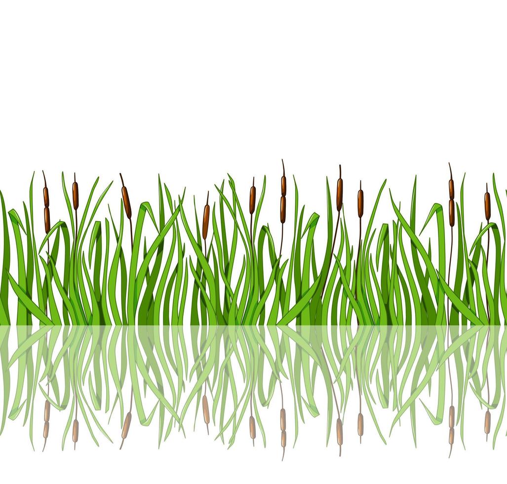 grünes gras mit schilf und reflexion ist eine nahtlose illustration. Vektorillustration im Cartoon-Stil. vektor