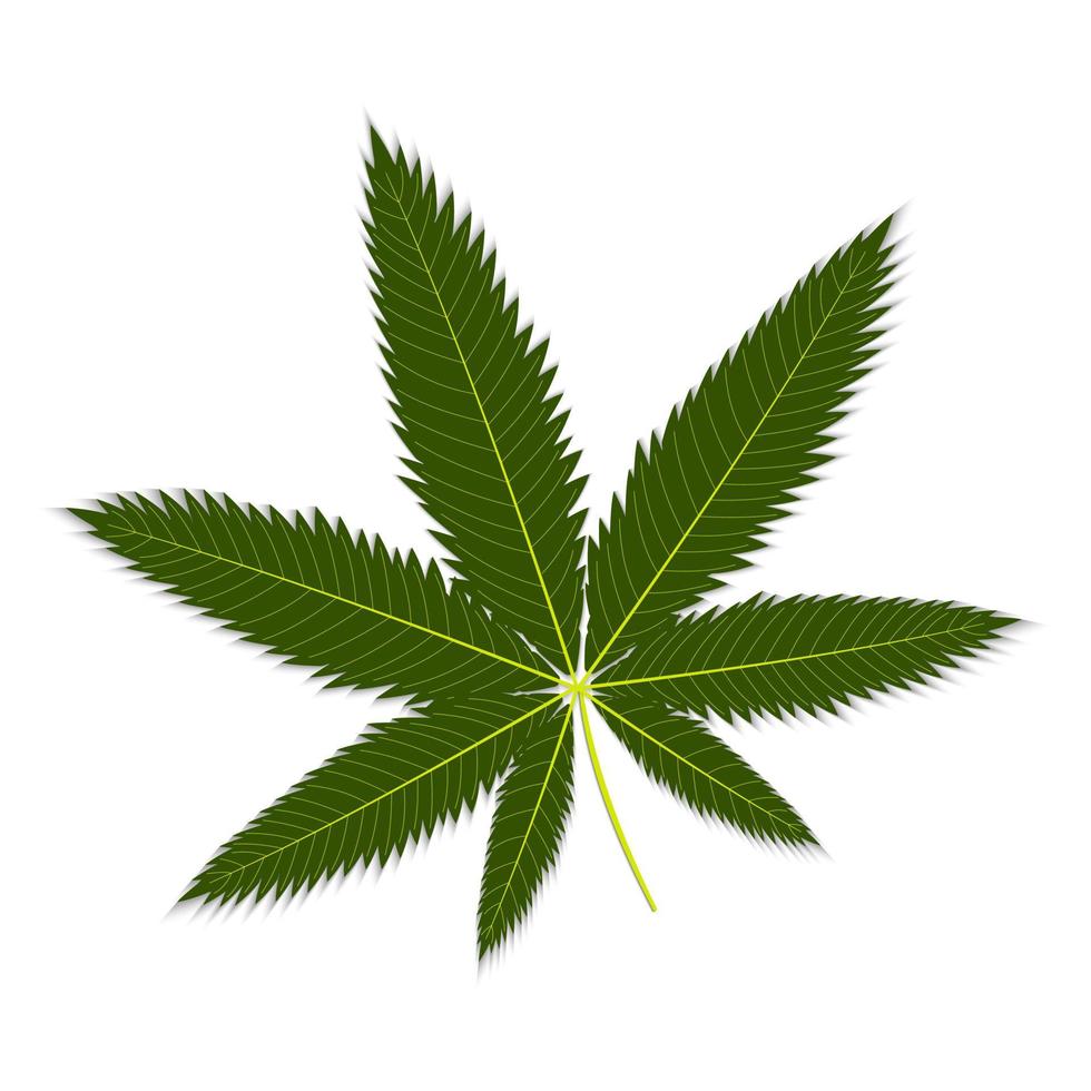 marijuana blad färg isolerade vektorillustration på vit bakgrund vektor
