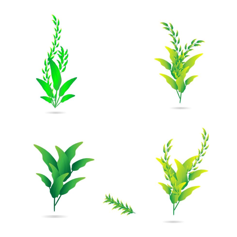 blad grönska elegans dekorativ abstrakt bakgrund konst grafisk design mönster vektorillustration vektor