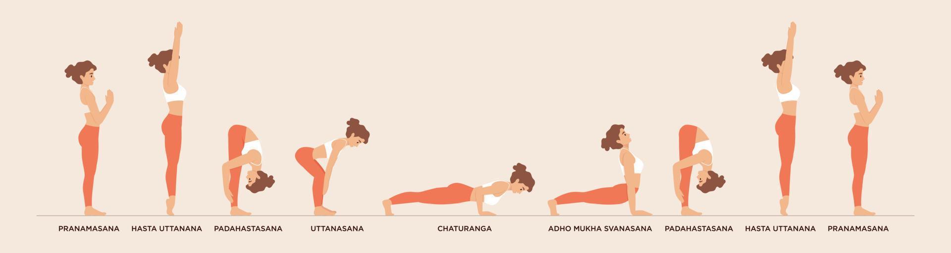 Reihe von Yoga-Posen. Sonnengruß. Surya Namaskar Yoga-Sequenz mit dem Namen der Asana. Vektorbanner vektor