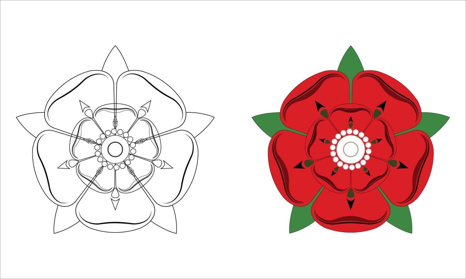 rote rose von lancaster zeichnungsillustration auf weißem hintergrund. vektor