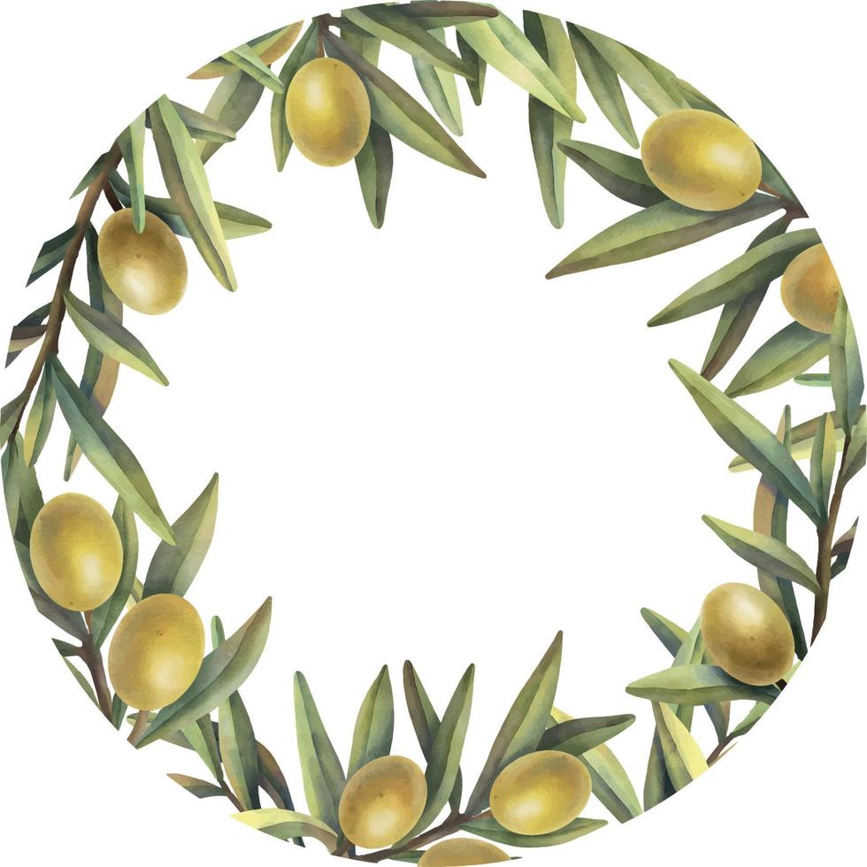 aquarellrahmen aus olivenzweigen mit früchten. handbemalte Blumenkreisgrenze mit gelben Olivenfrüchten und Ästen isoliert auf weißem Hintergrund. vektor