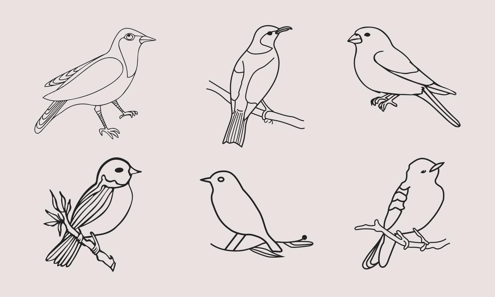 set med fågellogotyp i minimal linjär stil. kreativ abstrakt fågel logotyp samling vektor