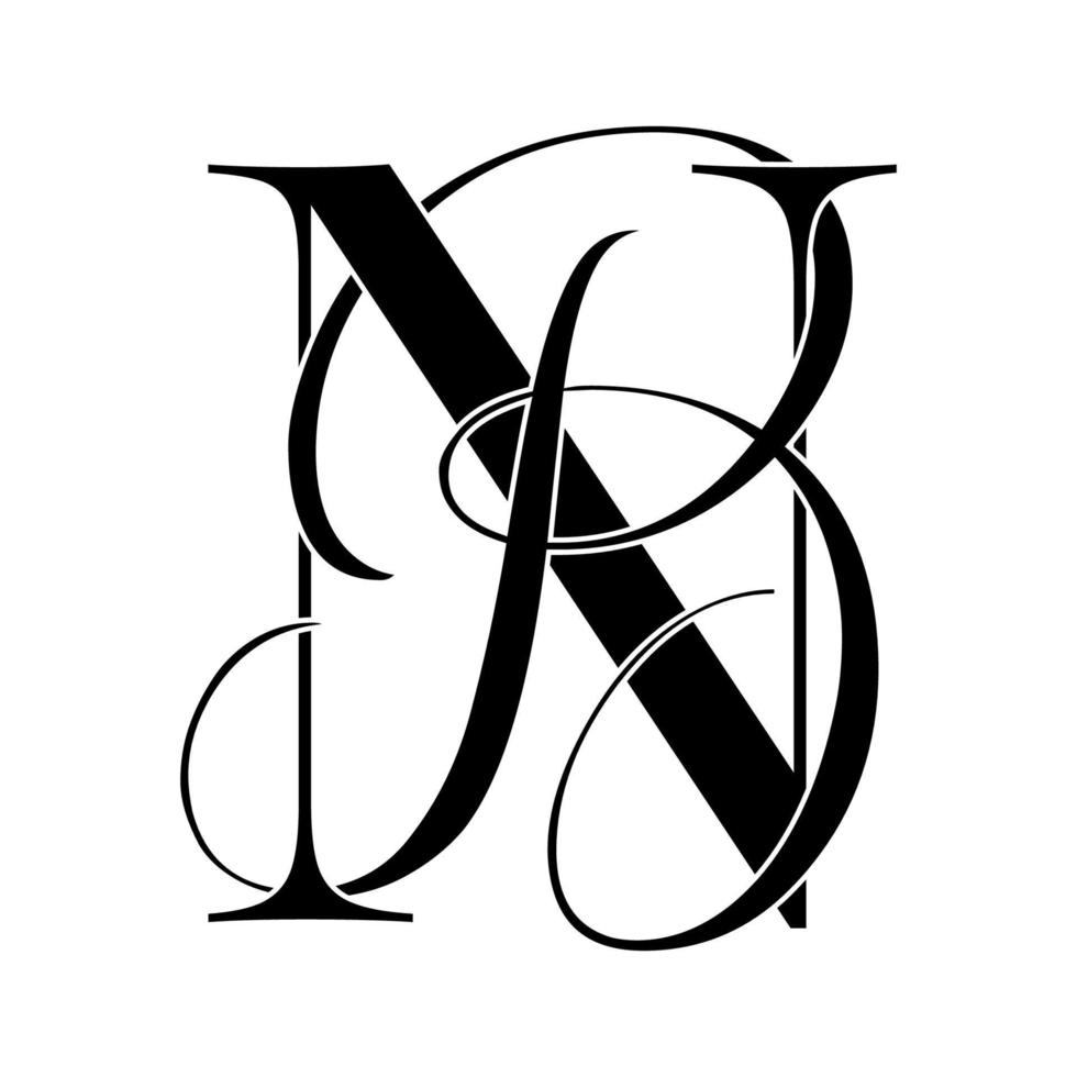nb, bn, Monogramm-Logo. Kalligraphisches Signatursymbol. Hochzeitslogo-Monogramm. modernes Monogrammsymbol. Paarlogo für die Hochzeit vektor